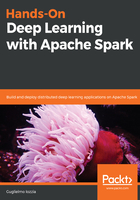 Hands-On Deep Learning with Apache Spark在线阅读