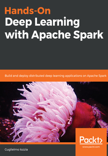 Hands-On Deep Learning with Apache Spark