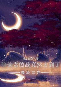 修仙的我竟然去到了魔法世界