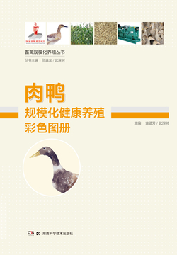 肉鸭规模化健康养殖彩色图册 封面