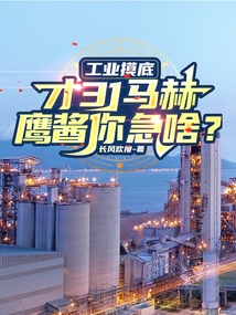 Industrial Inspections: Only Mach 31, Why Are You Rushing, Eagle Country? cover