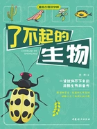 了不起的生物在线阅读
