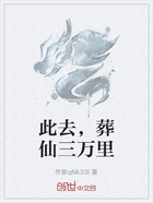 此去,葬仙三万里在线阅读