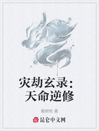 灾劫玄录:天命逆修在线阅读