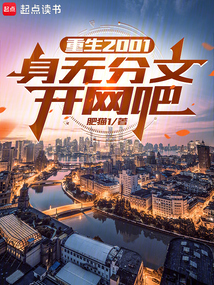 重生2001:身无分文开网吧 cover