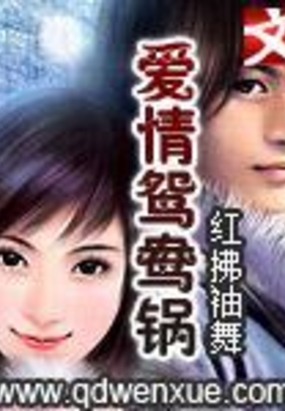 爱情鸳鸯锅在线阅读