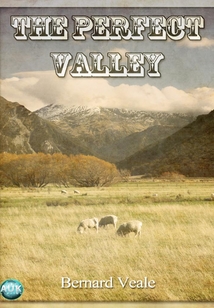 Perfect Valley - 完美谷 (英文原版)