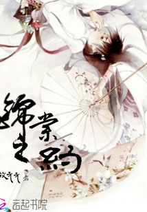 錦來遲遲夙愿難償