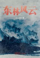 東林風云在線閱讀
