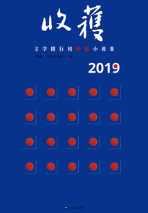 2019收獲文學排行榜·中篇小說集