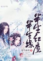 半生红尘半生缘