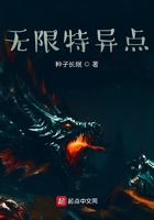 無限特異點在線閱讀