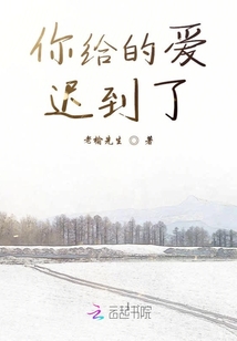 你給的愛遲到了