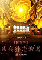 原神世界的流浪者