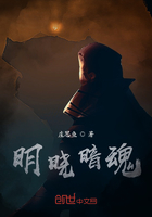 明晓暗魂在线阅读