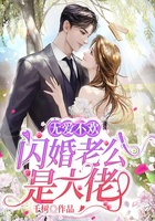 无爱不欢：闪婚老公是大佬在线阅读