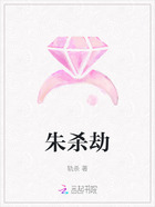 朱杀劫在线阅读
