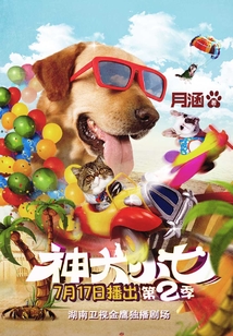 神犬小七