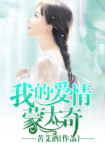 我的愛情蒙太奇