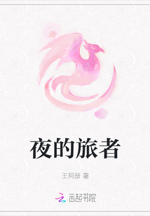 夜的旅者