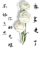 不好意思，你的光環(huán)我拿走了在線閱讀