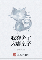 我夺舍了大唐皇子