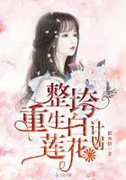 整垮重生白蓮花計劃在線閱讀