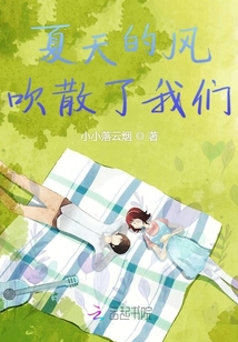 夏天的風吹散了我們