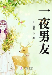 一夜男友