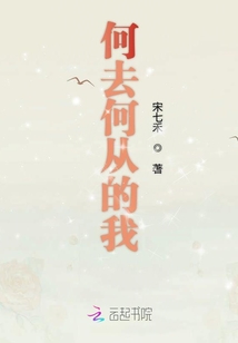 何去何從的我