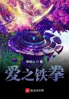 爱之铁拳