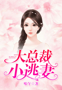 大總裁，小逃妻！