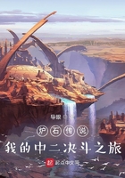 炉石传说:我的中二决斗之旅在线阅读
