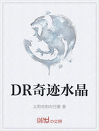 DR奇迹水晶在线阅读