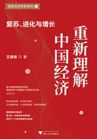 重新理解中国经济:复苏、进化与增长在线阅读