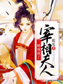 二婚我成了宰相夫人