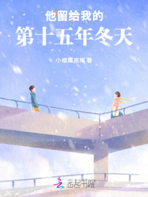 他留給我的第十五年冬天