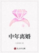 中年离婚在线阅读