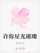 许你星光璀璨在线阅读