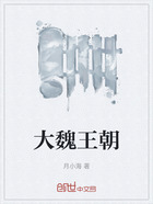 大魏王朝在线阅读