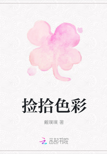 撿拾色彩