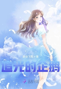 追光的企鵝