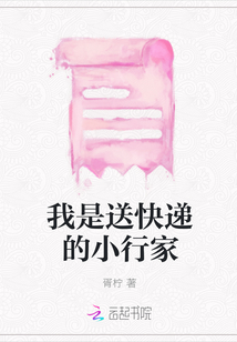 我是送快遞的小行家