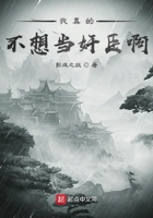 我真的不想當奸臣啊在線閱讀