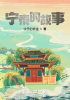 宁泰的故事