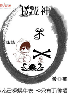一书成神