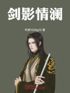 剑影情澜在线阅读