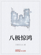 八极惊鸿在线阅读