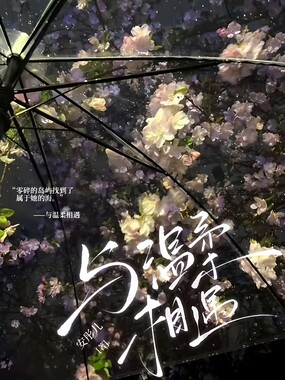 与温柔相遇在线阅读