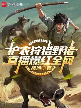 护农狩猎野猪：直播爆红全网在线阅读